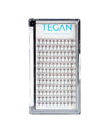 TEGAN LASH Premade Fans Volume Eyelash Extensions From 3D - 10D 0.05/0.07 Thickness C/CC/D Curl 9-15mm Length Thin Base Easy Apply False Eyelashes Pestanas Pelo A Pelo (10D-0.05-C-12) 10D-0.05-C 12mm