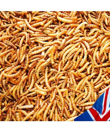 UK GROW 5L Premium Dried Mealworms - High-Quality 5 Litre Pack - Buy Online on GoSupps.com