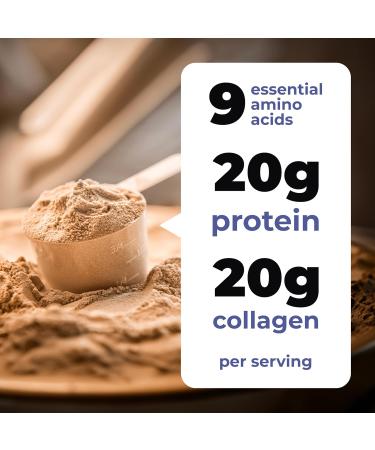 TRUMETA Beef Bone Broth Protein Powder - Purified Collagen Powder with 9 Amino Acids for Muscle and Skin Health - Rich Chocolate Flavor for a Tasty and Nutritious Experience - Buy Online on GoSupps.com