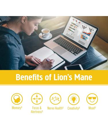 Om Mushrooms Lion's Mane Powder - 100% Organic, 7.05 oz (200 g) - Enhance Cognitive Function - Buy Online on GoSupps.com
