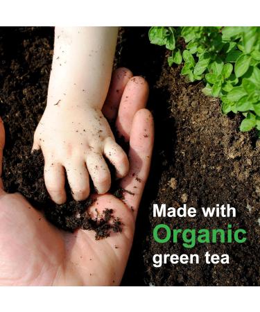 Green Tea Extract for Skin Alcohol-Free Cold-Processed Antioxidant Serum with USDA Organic Leaves Cosmetic Grade for Face and DIY Skincare Formulations - 1 fl oz - Buy Online on GoSupps.com