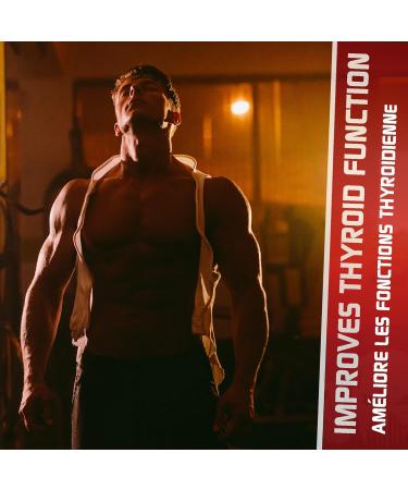 Predator Labs - Dark Phoenix Hardcore Fat Burner 120 Capsules - Thermogenic Fat Burner Formulated to Metabolize Carbohydrates and Fats Helps with Blood Sugar Helps with the Thyroid Appetite Suppressant that Helps Increase Satiety Herbal Formula adaptogens - Buy Online on GoSupps.com