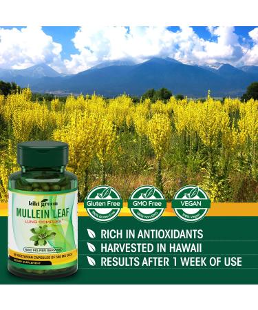 KIKI Green Mullein Leaf Herb Capsules - 1000mg Lung Cleanse & Detox | Respiratory Health Support | Mullein Tea Bags for Smokers | 90 Vegan Pills - Buy Online on GoSupps.com