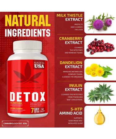 Natural Body Cleanse - Liver, Urinary Tract, Kidney, Digestive Support - 42 Vegan Caps - Made in USA - Buy Online on GoSupps.com