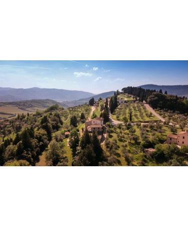 Frescobaldi Laudemio Extra Virgin Olive Oil 500ml - Premium Quality EVOO - Buy Online on GoSupps.com