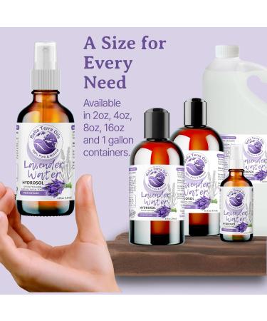 Bella Terra Oils - Lavender Water Spray 8 oz - Steam-Distilled Perfection Bursting with Vitamin K & Omega-9 Elevate Your Skin Refreshment Routine 8 Fl Oz (Pack of 1) - Buy Online on GoSupps.com