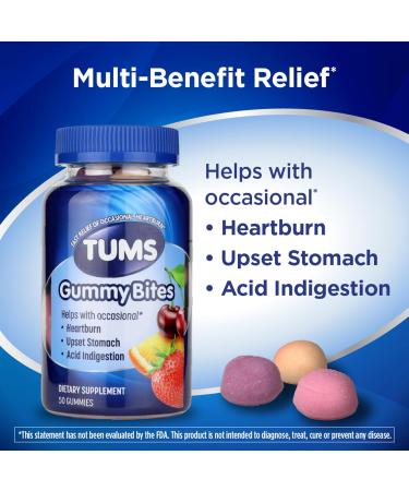 TUMS Gummy Bites Dietary Supplement for Occasional Heartburn Relief Upset Stomach and Acid Indigestion Assorted Fruit Flavors - 50 Count - Buy Online on GoSupps.com