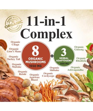 Mushroom Powder Supplement 2200mg - Organic Lions Mane Reishi Cordyceps Chaga Turkey Tail Mushroom Extract - 11 in 1 Blend Powder Supplement - Immune & Brain Support - Bottled in USA - 60 Servings - Buy Online on GoSupps.com