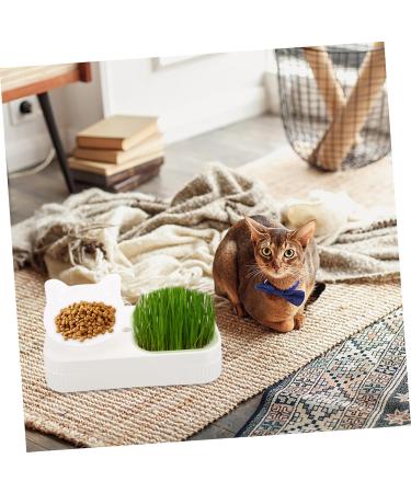 Beavorty 2pcs Set Three-dimensional eyebrow card DIY eyebrow stencil eyebrow stencils reusable eyebrow - Buy Online on GoSupps.com