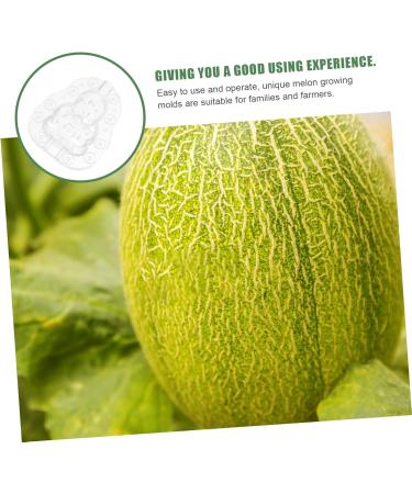 CAXUSD 3pcs Vegetable Growing Mold Small Fruit Mold Fruit Vegetable Mold Watermelon Accessories Plastic - Buy Online on GoSupps.com