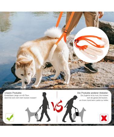 Shop Lollanda Walking Aid for Dogs - Support Mobility for Sick & Older Dogs | Orange Wearable Aid & Dog Dishes - Buy Online on GoSupps.com