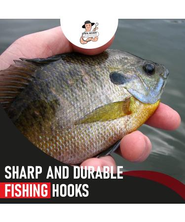 Fishing Hooks Assortment for Freshwater - Small Panfish, Bass, Trout, Bluegill - Ideal for Bass Fishing - Buy Online on GoSupps.com