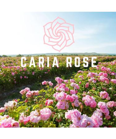 Rosewater Hydrating Spray with Hyaluronic Acid | Travel Size Facial Toner - 1.7 oz - Buy Online on GoSupps.com