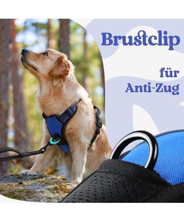 Buy Rabbitgoo Adjustable Dog Harness for Large Dogs - No-Choke Design Soft Padded Reflective Anti-Training with Handle - Blue Large (1 Pack) - Buy Online on GoSupps.com