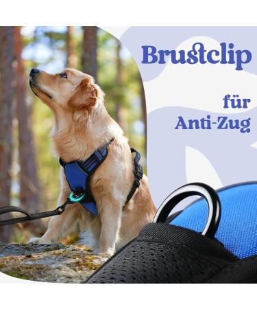 Rabbitgoo Dog Harness for Small Dogs - Adjustable Anti-Pull No Choke Soft Padded Reflective Chest Harness - Blue (1 Pack) - Buy Online on GoSupps.com