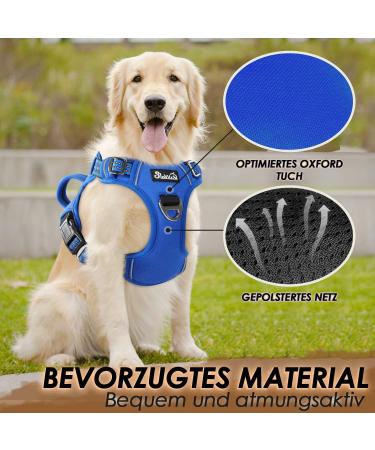 Eyin Dog Harness for Large Dogs - Adjustable Breathable Reflective & Padded - Front Handle for Training (Light Blue L: Neck 42-60cm Chest 47-86cm) - Buy Online on GoSupps.com