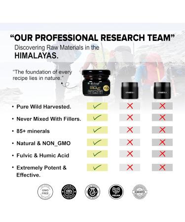 Himalaya Shilajit OriginalShilajeet Resin Stamina Stamia Detox OVERALL GOOD 20Gms 20g Pack of 1 - Buy Online on GoSupps.com