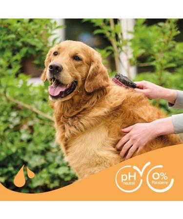 Beaphar Brown Fur Shampoo - Natural Color Support Skin-Friendly Formula with Manuka Honey & Aloe Vera - 250 ml pH-Neutral Paraben & Silicone Free - Buy Online on GoSupps.com