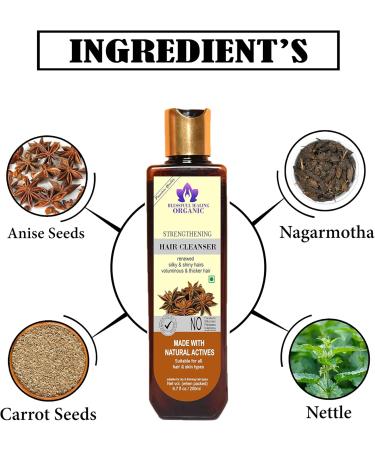 Blessfull Healing Organic Strengthening Hair Cleanser | Shampoo 200 ML (Packing May Vary) - Buy Online on GoSupps.com