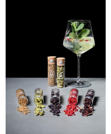 Buy Gin Botanicals Basic Set | 5 Premium Gin & Tonic Spices + Recipe Book | Perfect Gift for Him & Her | International Shipping Available - Buy Online on GoSupps.com