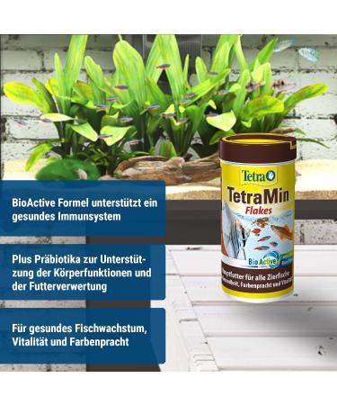 Tetramine Flakes - Balanced Fishing Feed for Ornamental Fish | 250 ml Can | Healthy Fish & Clear Water - Buy Online on GoSupps.com