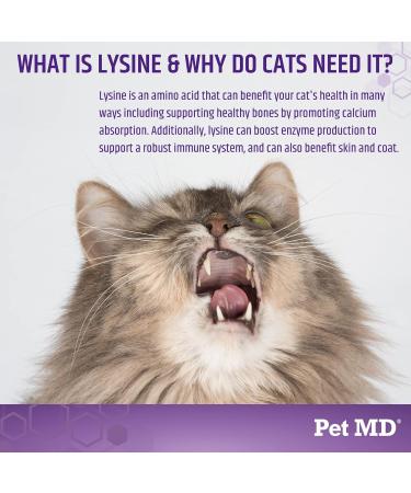 Pet MD Lysine Support Gel for Cats - Allergy & Immune Support - Salmon Flavour - 50mL - Buy Online on GoSupps.com