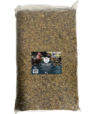 22lb - Dried Black Soldier Fly Larvae by Premium Feeders Dried mealworms Alternative Treats for Chicken Hens Duck Bird Lizard Tortoise Fish High Calcium & Protein All Natural BSF - Buy Online on GoSupps.com