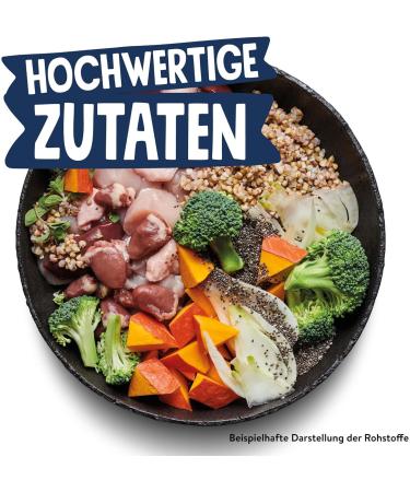 Buy Wet Dog Food 4.8 kg Pack of 6 | Nutritious Duck with Pumpkin Broccoli Chia & Fennel - International Shipping Available - Buy Online on GoSupps.com