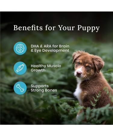 Blue Buffalo Wilderness More Meat & Wholesome Grains Natural Dry Puppy Food Chicken 24lb Puppy More Meat Wholesome Grains - Buy Online on GoSupps.com