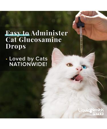 LIQUIDHEALTH 2.3 Oz Liquid Cat Glucosamine Joint Support - Hip & Joint Relief for Senior Cats & Kittens - Buy Online on GoSupps.com