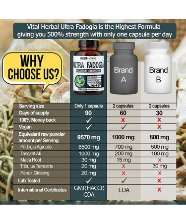 Ultra Fadogia Agrestis 10:1 Extract with Tongkat Ali Capsules - Maximum Strength Energy and Muscle Booster - 9570mg Equivalent - with Ginseng, Maca Root, Tribulus - 90 Count - Buy Online on GoSupps.com