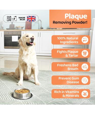 DogsLife Plaque Off Powder for Dogs - 500g | Organic Teeth Cleaning & Tartar Remover | Breath Freshener | 100% Natural Dental Care Solution - Buy Online on GoSupps.com