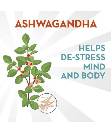 Align Probiotic Digestive De-stress with Ashwagandha - 21 Capsules for Gut Health & Relaxation - Buy Online on GoSupps.com