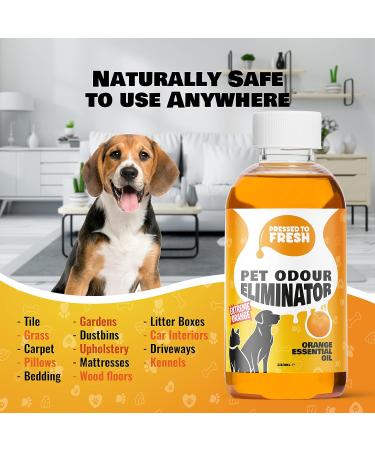 Pet Urine Odour Eliminator & Neutraliser - Natural Cold Pressed Orange Oil Enzyme Cleaner - Makes 4 Litres - Cleans Dog & Cat Smells Carpet Bins Litter Trays - Pet Deodoriser & Repellent - Buy Online on GoSupps.com