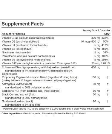 Andrew Lessman Immune Factors 360 Capsules - Echinacea, Goldenseal, Vitamin C, Astragalus, Berberine, Mushroom Blend, Black Currant - 360 Count - Supports Immune System & Natural Defenses - Buy Online on GoSupps.com