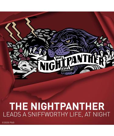 Old Spice Antiperspirant Deodorant for Men NightPanther 48 Hr Odor Protection 2.6 Oz. (Pack of 6) 2.6 Ounce (Pack of 6) Nightpanther - Buy Online on GoSupps.com