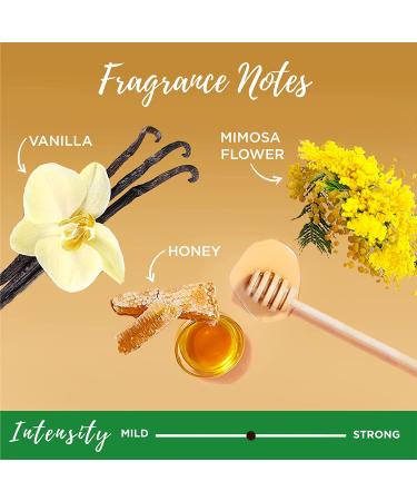 Garnier Whole Blends Honey Treasures Hair Repairing Serum 5.1 Fl Oz - 2 Pack - Buy Online on GoSupps.com