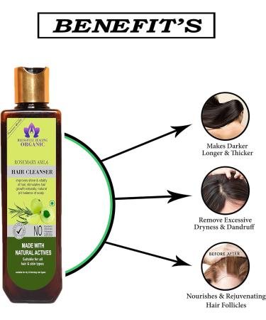 Blessfull Healing Organic Rosemary Amla Hair Cleanser | Shampoo 100 ML (Packing May Vary) - Buy Online on GoSupps.com