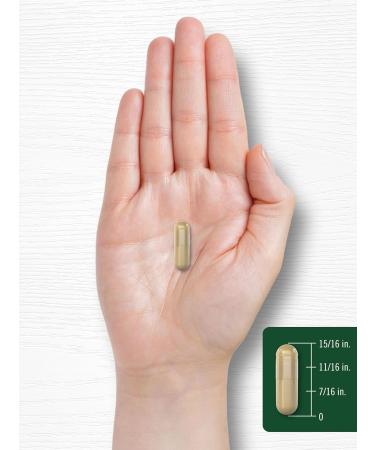 Carlyle Echinacea | 120 Capsules | Vegetarian Non-GMO & Gluten Free Supplement - Buy Online on GoSupps.com