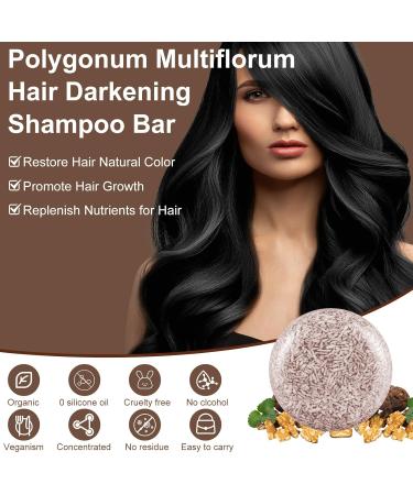 Shouwu Organic Blackening Shampoo Bar - Reverse Gray Hair Treatment (Polygonum Multiflorum) - Natural Hair Color Solution - Buy Online on GoSupps.com
