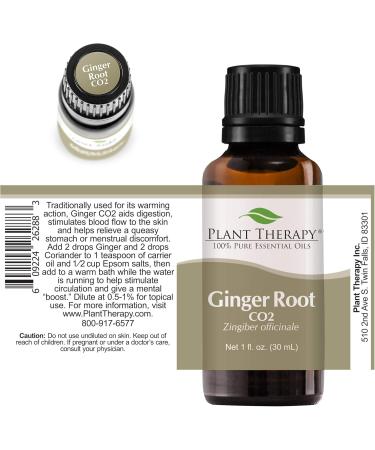 Buy Plant Therapy Ginger Root CO2 Essential Oil 100% Pure - Natural Aromatherapy Therapeutic Grade 30 mL - Shop Internationally - Buy Online on GoSupps.com