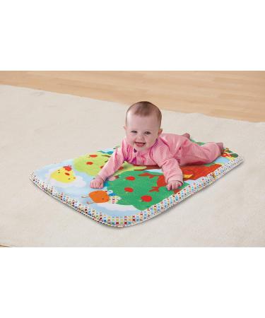 VTech Baby Music Cover - Colorful Play Gym with 4 Removable Elements & Piano - Ideal for Infants 0-24 Months - Buy Online on GoSupps.com