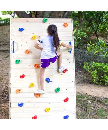 Kids Rock Climbing Holds Set - 20 Holds with 2 Safety Handles | Indoor Outdoor Rock Wall Kit with Mounting Hardware - Buy Online on GoSupps.com