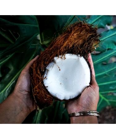 Buy 6 x Organic Coconut Milk 270 ml | Fairtrade Original | Sri Lanka | Ideal for Asian Dishes | 100% Organic & Natural - Buy Online on GoSupps.com