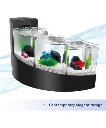 Aqueon Betta Falls Aquarium Kit with QuietFlow Filter - 3 Section Fish Tank - Buy Online on GoSupps.com