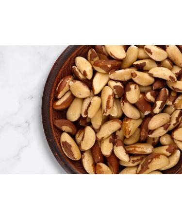 Organic Dry Roasted Brazil Nuts with Himalayan Salt 1lb - Vegan & Kosher Friendly, High Protein & Selenium, Keto-Friendly Snack - No Oil Added, Oven Roasted, Whole Nuts - Bulk Pack of 1 - Buy Online on GoSupps.com