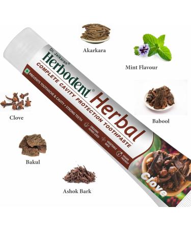 Herbodent Herbal Clove Toothpaste - 6.53 oz Pack of 1 | Natural Herbs - Clove Babool Bakul and More | Daily use Toothpaste 6.53 Ounce (Pack of 1) - Buy Online on GoSupps.com