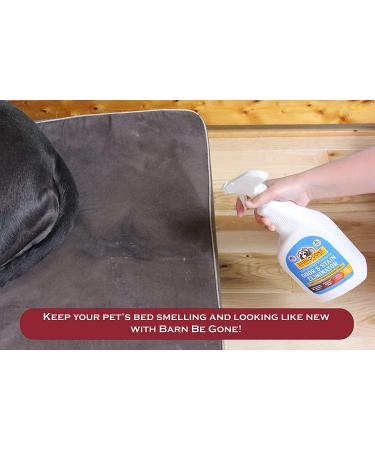 BARN BE GONE Superhero Stain & Odor Eliminator 32 oz | Enzyme Carpet Cleaner for Pets | Pet Stain Remover for Urine | Small Pet Supplies - Buy Online on GoSupps.com