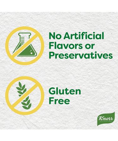 Knorr Professional Ultimate Chicken Stock Base Gluten Free  No Artificial Flavors or Preservatives  No added MSG  Colors from Natural Sources  1 lb  Pack of 6 Chicken Gluten Free - Buy Online on GoSupps.com
