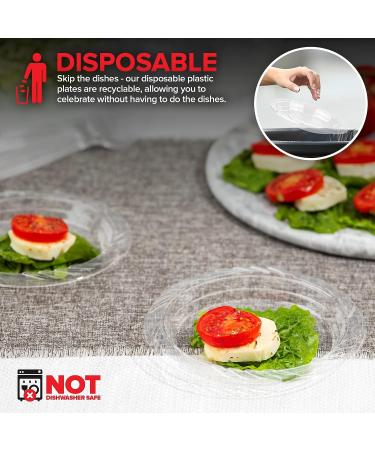 Stock Your Home 6-Inch Clear Plastic Dessert Plates (120 Pack) - Disposable Small Plates for Parties & Catering - Flexible & Crystal Clear Appetizer Plates - Buy Online on GoSupps.com